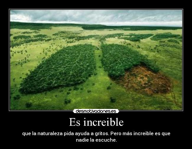 Es increible - que la naturaleza pida ayuda a gritos. Pero más increible es que nadie la escuche.