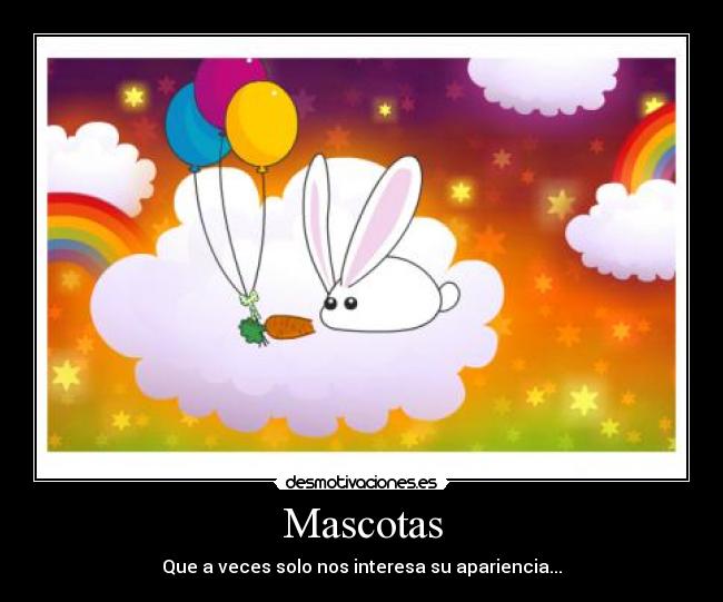 Mascotas - Que a veces solo nos interesa su apariencia...