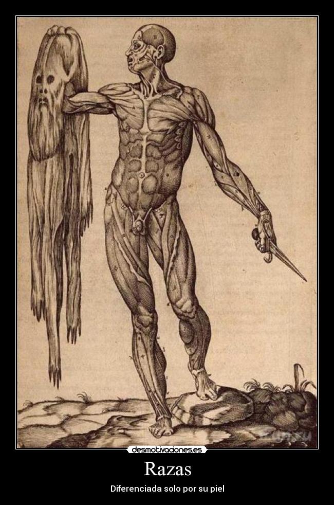 carteles razas desmotivaciones