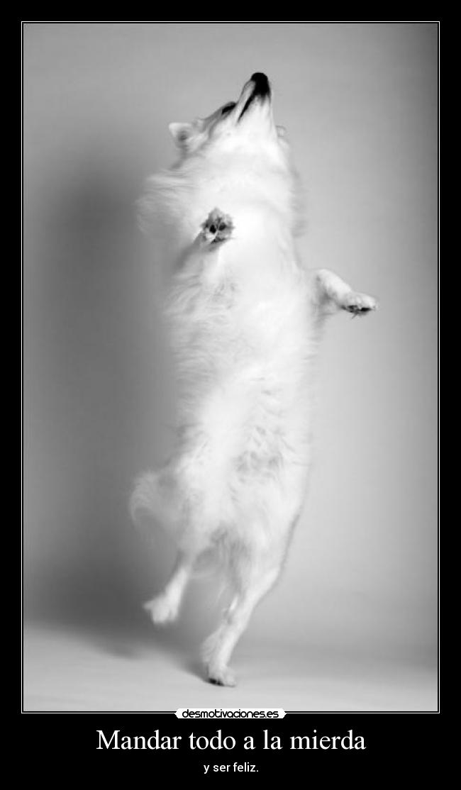 Mandar todo a la mierda -