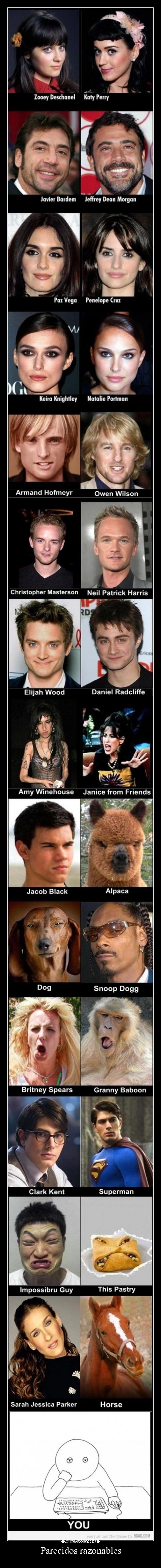 Parecidos razonables - 