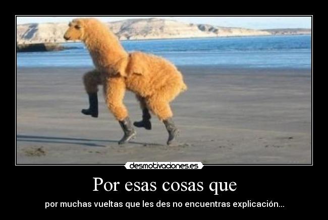 Por esas cosas que - por muchas vueltas que les des no encuentras explicación...