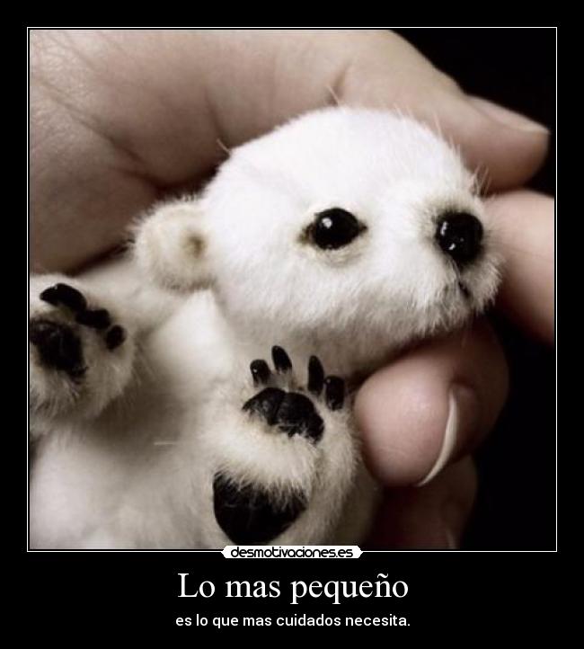 Lo mas pequeño - es lo que mas cuidados necesita.