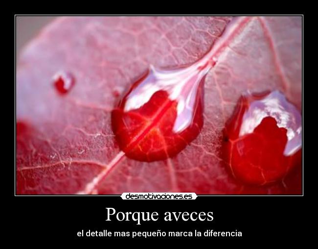 Porque aveces -