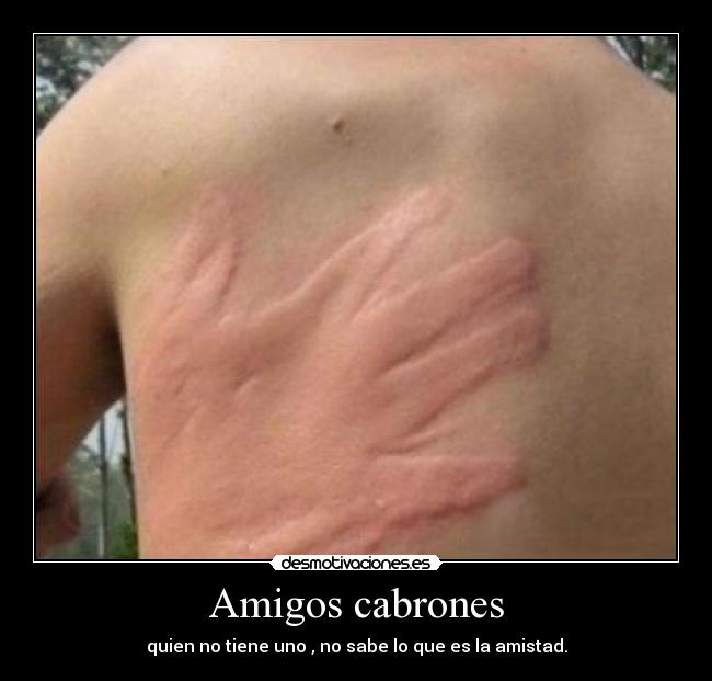 Amigos cabrones - quien no tiene uno , no sabe lo que es la amistad.