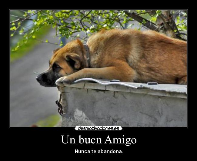 Un buen Amigo - Nunca te abandona.