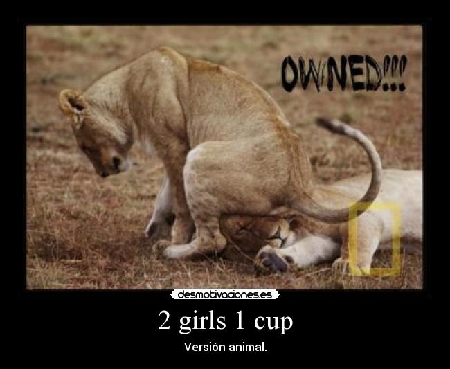 2 girls 1 cup - Versión animal.