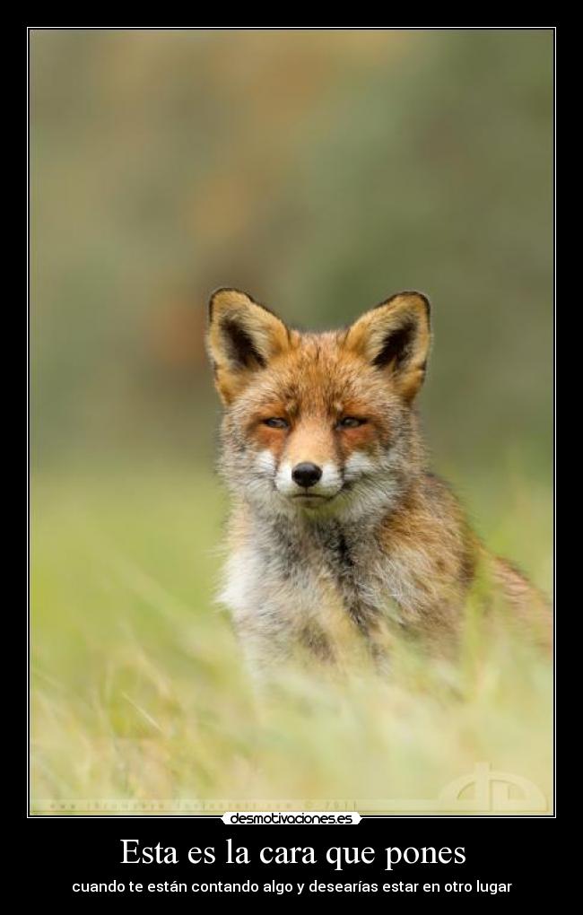 Esta es la cara que pones -