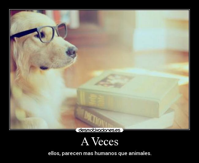A Veces - 