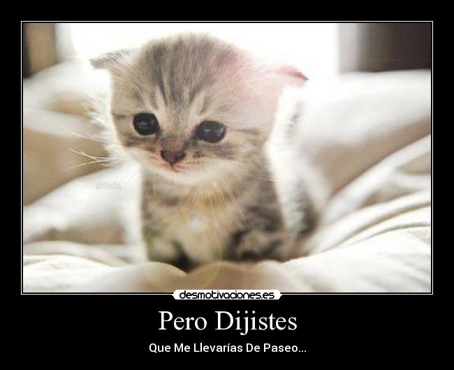 Pero Dijistes - 