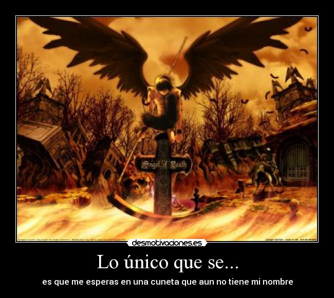 Lo único que se... - es que me esperas en una cuneta que aun no tiene mi nombre