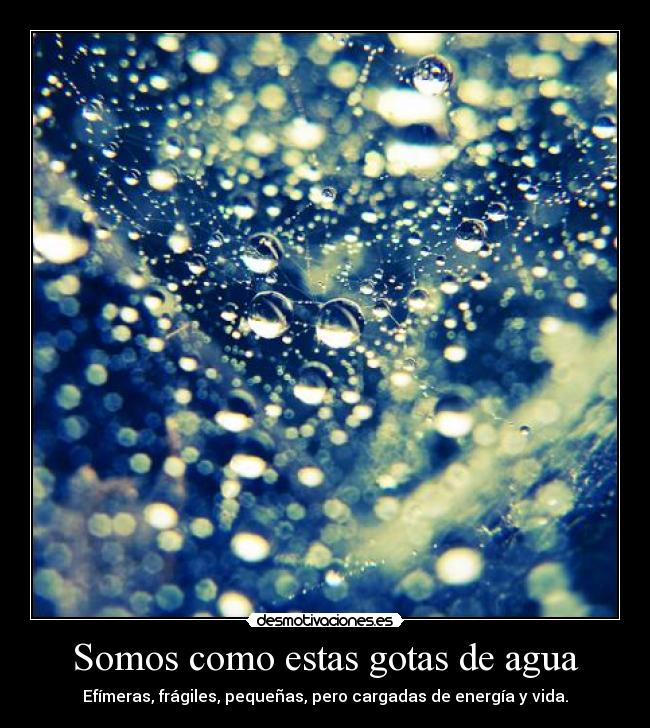 Somos como estas gotas de agua - Efímeras, frágiles, pequeñas, pero cargadas de energía y vida.