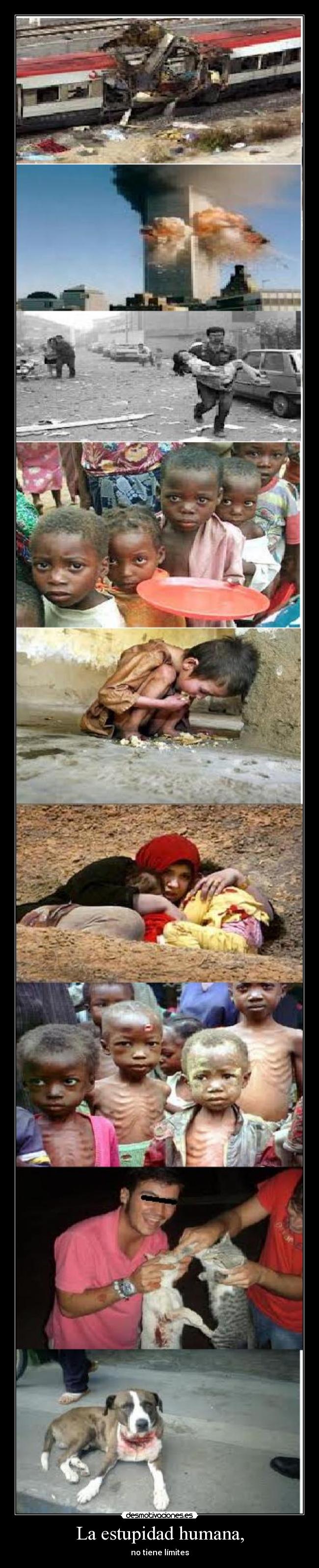 La estupidad humana, - no tiene límites