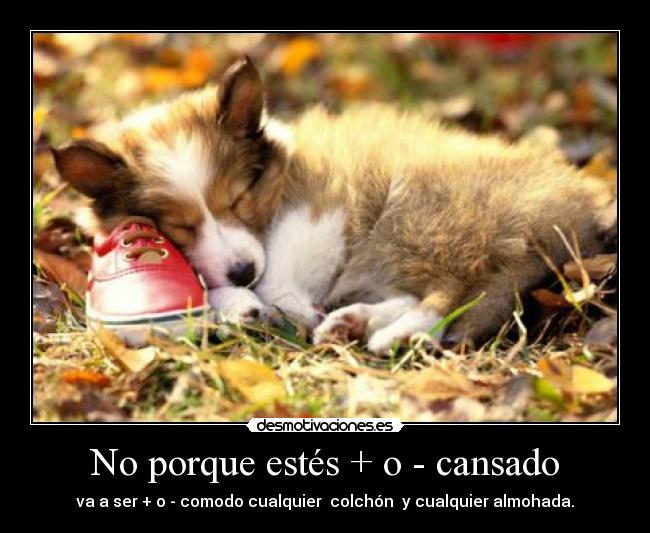 No porque estés + o - cansado - va a ser + o - comodo cualquier  colchón  y cualquier almohada.