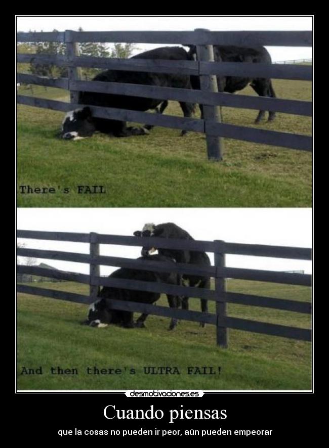 carteles vaca follando otra vaca pillada por valla desmotivaciones