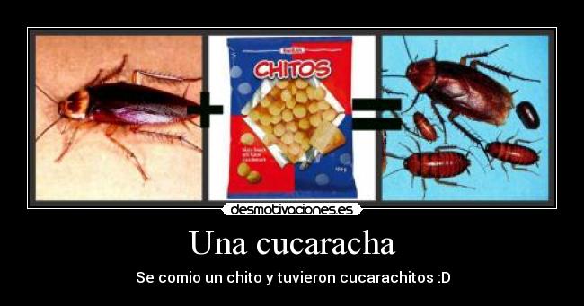 Una cucaracha - 