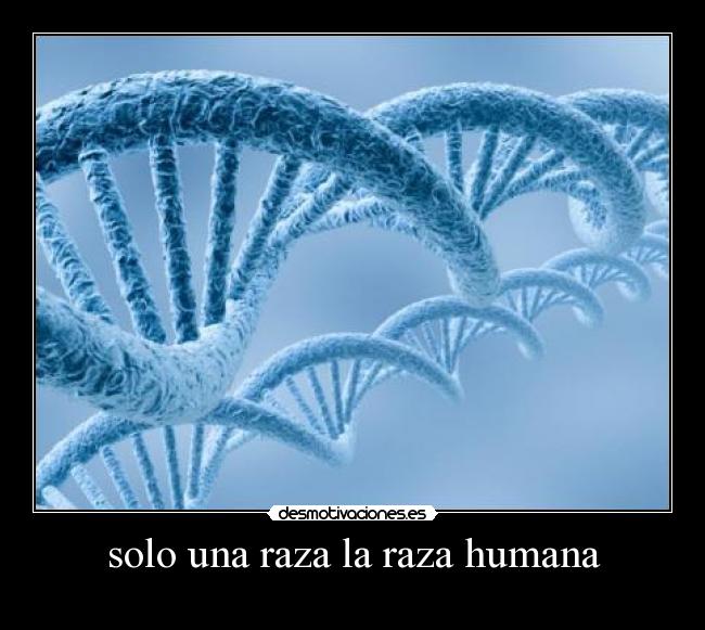 solo una raza la raza humana -