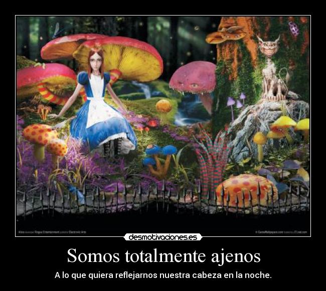 Somos totalmente ajenos -