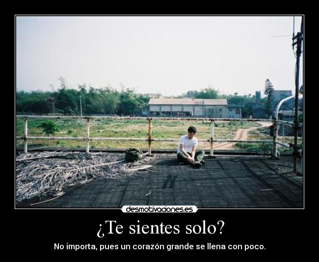 ¿Te sientes solo? - No importa, pues un corazón grande se llena con poco.