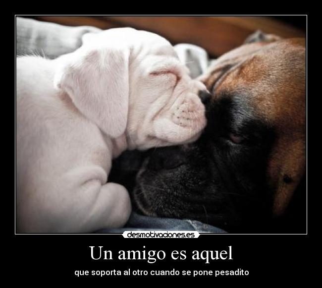 Un amigo es aquel - que soporta al otro cuando se pone pesadito