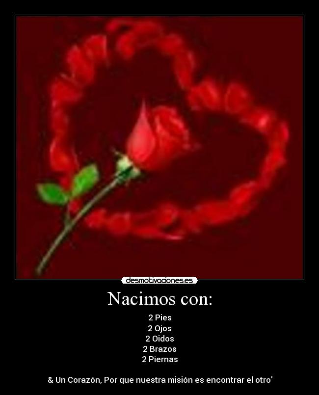 Nacimos con: - 2 Pies
2 Ojos
2 Oidos
2 Brazos
2 Piernas
& Un Corazón, Por que nuestra misión es encontrar el otro
