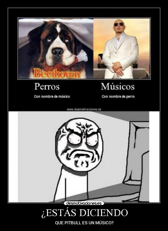 carteles pitbull musico claro desmotivaciones