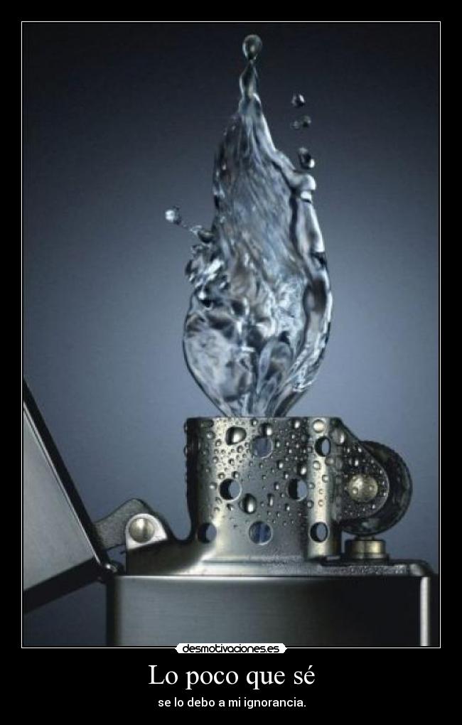 Lo poco que sé - se lo debo a mi ignorancia.