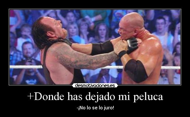 +Donde has dejado mi peluca -