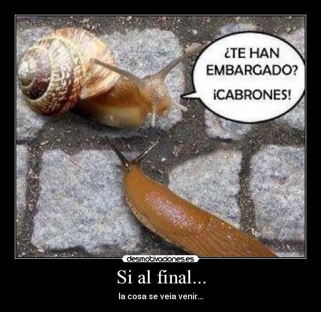 Si al final... - la cosa se veia venir...