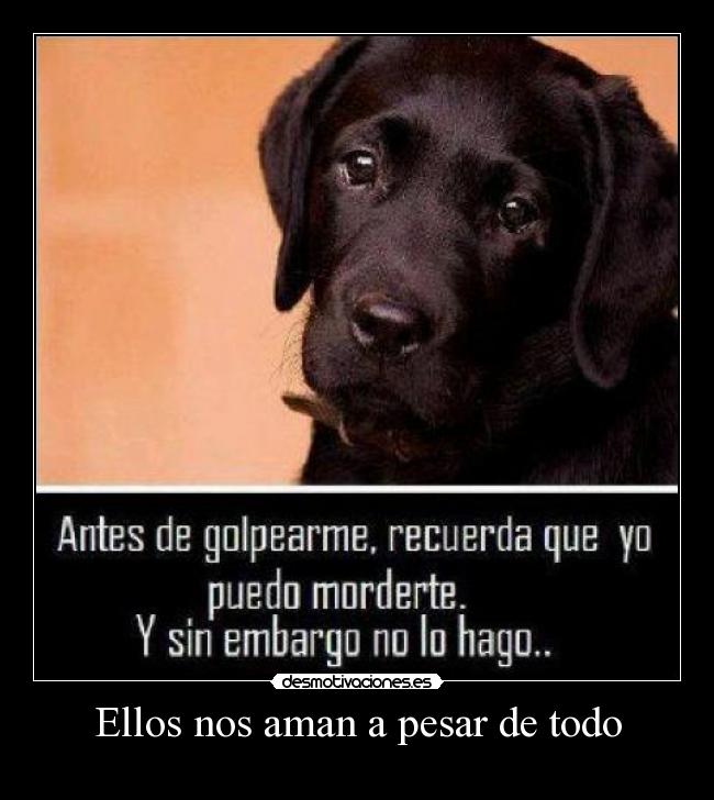 Ellos nos aman a pesar de todo - 