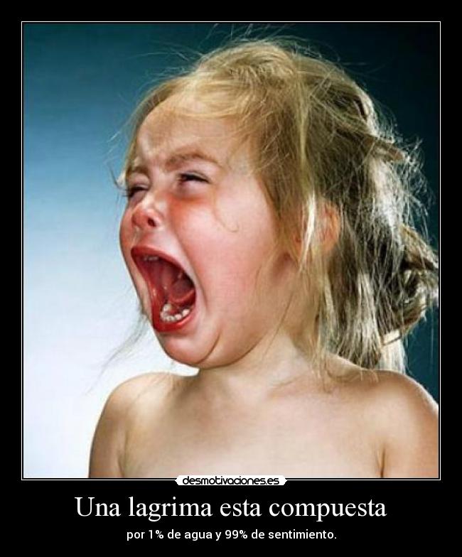 carteles stephy alvarado desmotivaciones