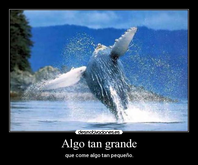 Algo tan grande - 