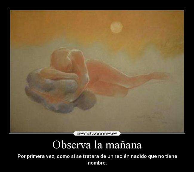 Observa la mañana -