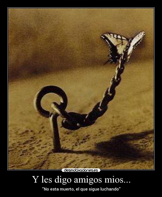 carteles amigos luchar desmotivaciones