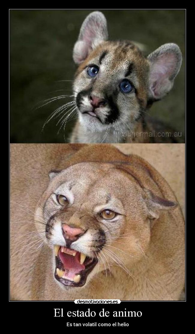 El estado de animo - 