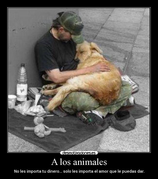 A los animales - No les importa tu dinero... solo les importa el amor que le puedas dar.