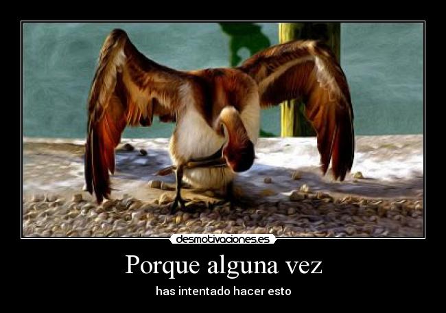 Porque alguna vez - has intentado hacer esto