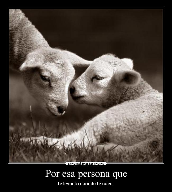 Por esa persona que - te levanta cuando te caes..