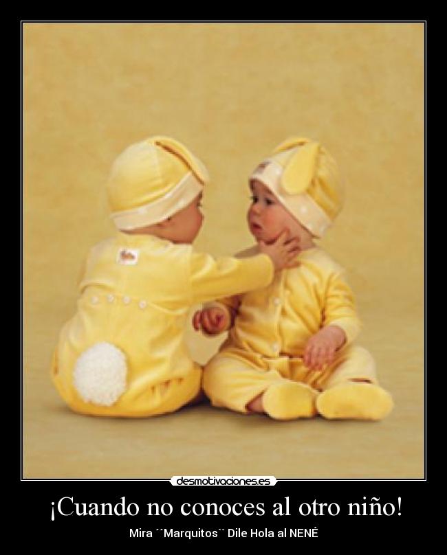 carteles bebes desmotivaciones