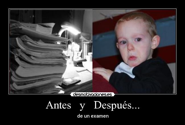 carteles nunca crei que examen podia hacer llorar desmotivaciones