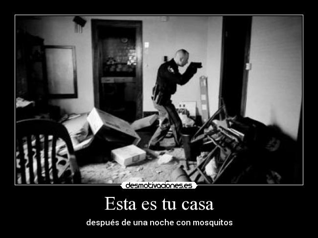 Esta es tu casa - después de una noche con mosquitos