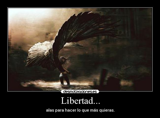 carteles libertad otra version desmotivaciones