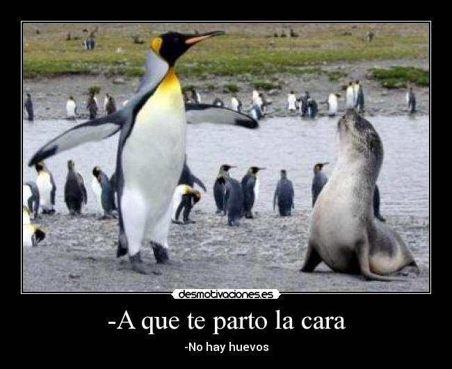 -A que te parto la cara -