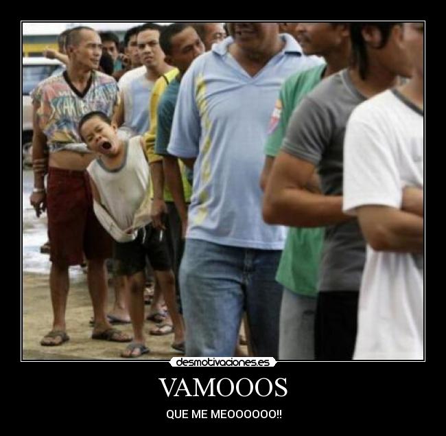 VAMOOOS - QUE ME MEOOOOOO!!