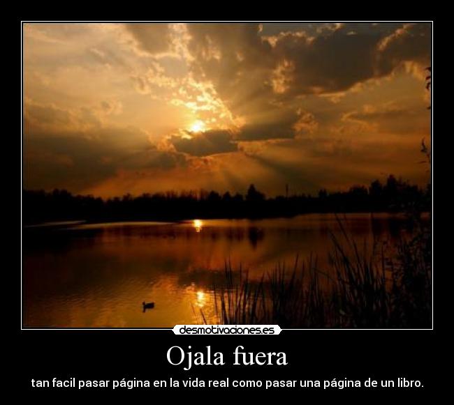 Ojala fuera - tan facil pasar página en la vida real como pasar una página de un libro.