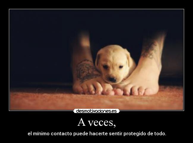 A veces, - el mínimo contacto puede hacerte sentir protegido de todo.