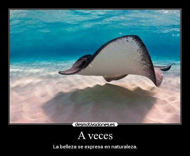 A veces - La belleza se expresa en naturaleza.