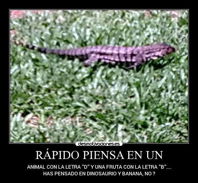 RÁPIDO PIENSA EN UN - ANIMAL CON LA LETRA D Y UNA FRUTA CON LA LETRA B....
HAS PENSADO EN DINOSAURIO Y BANANA, NO ?