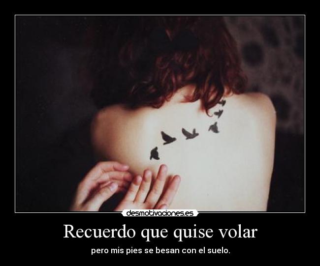 carteles ruth megacartel 2x10 pignoise desmotivaciones