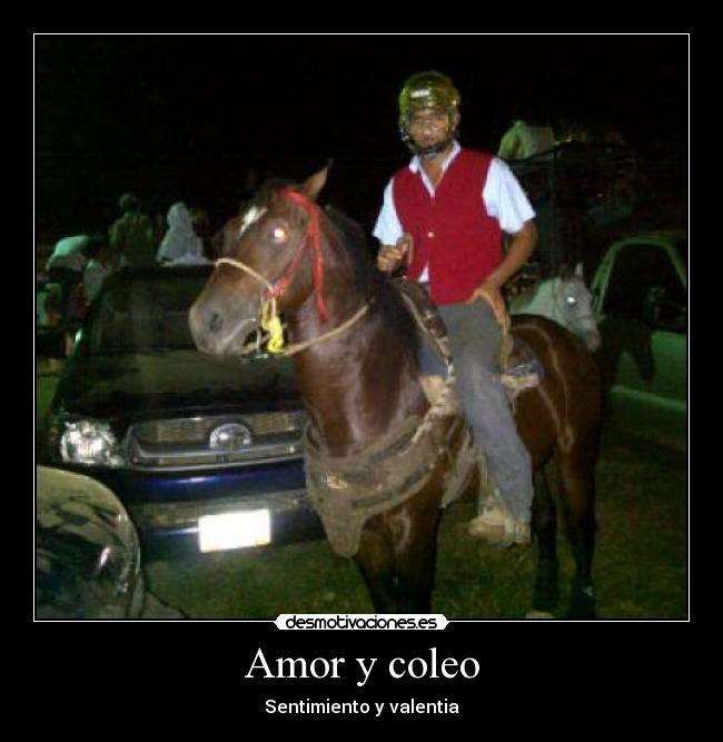 carteles amor maria desmotivaciones